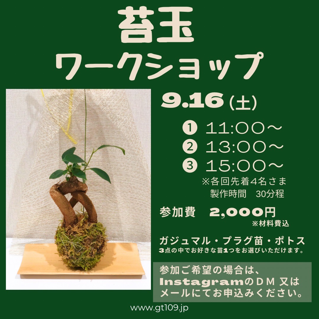 苔玉ワークショップのご案内 ｜ 観葉植物専門店Greenterrace（グリーン