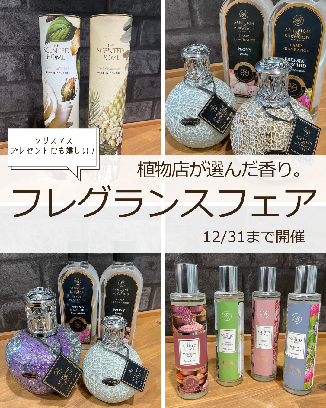フレグランスフェア開催♪ ｜ 観葉植物専門店Greenterrace（グリーン